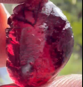 Tanga rose garnet