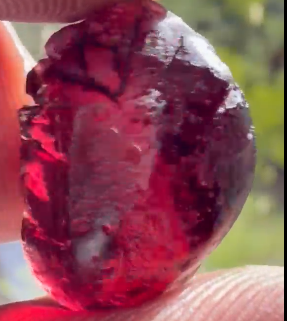Tanga rose garnet